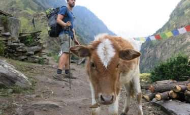 Manaslu Circuit Trek