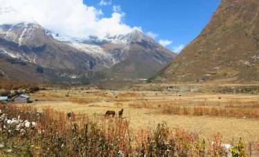 Manaslu Circuit Trek