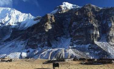 kanchenjunga treks